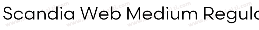 Scandia Web Medium Regular字体转换